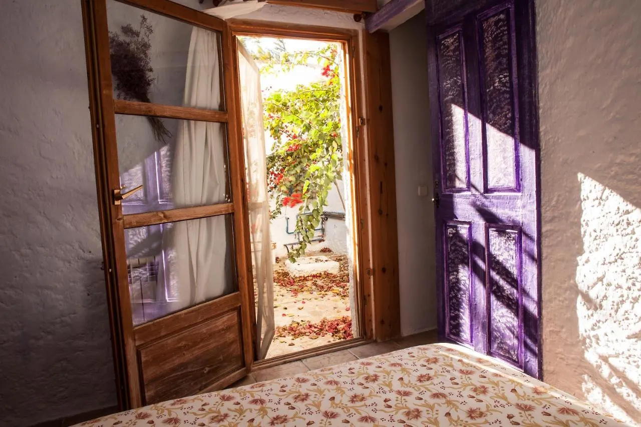 Casa Rural Aloe Vera Guest House Huercal-Overa 0*,