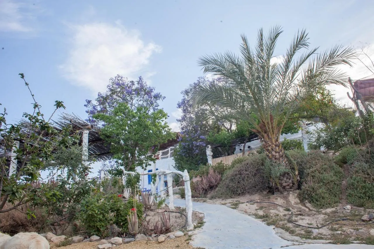 Casa Rural Aloe Vera Guest House Huercal-Overa Country house