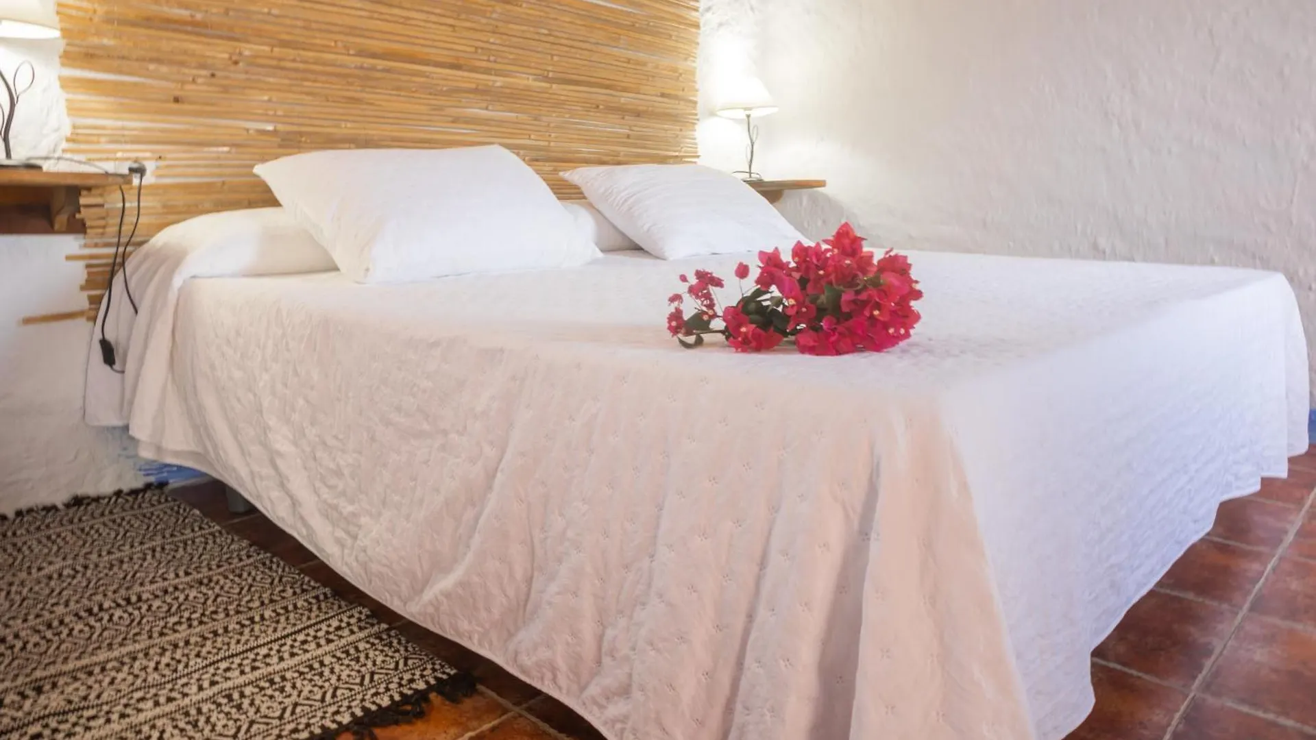 Casa Rural Aloe Vera Guest House Huercal-Overa