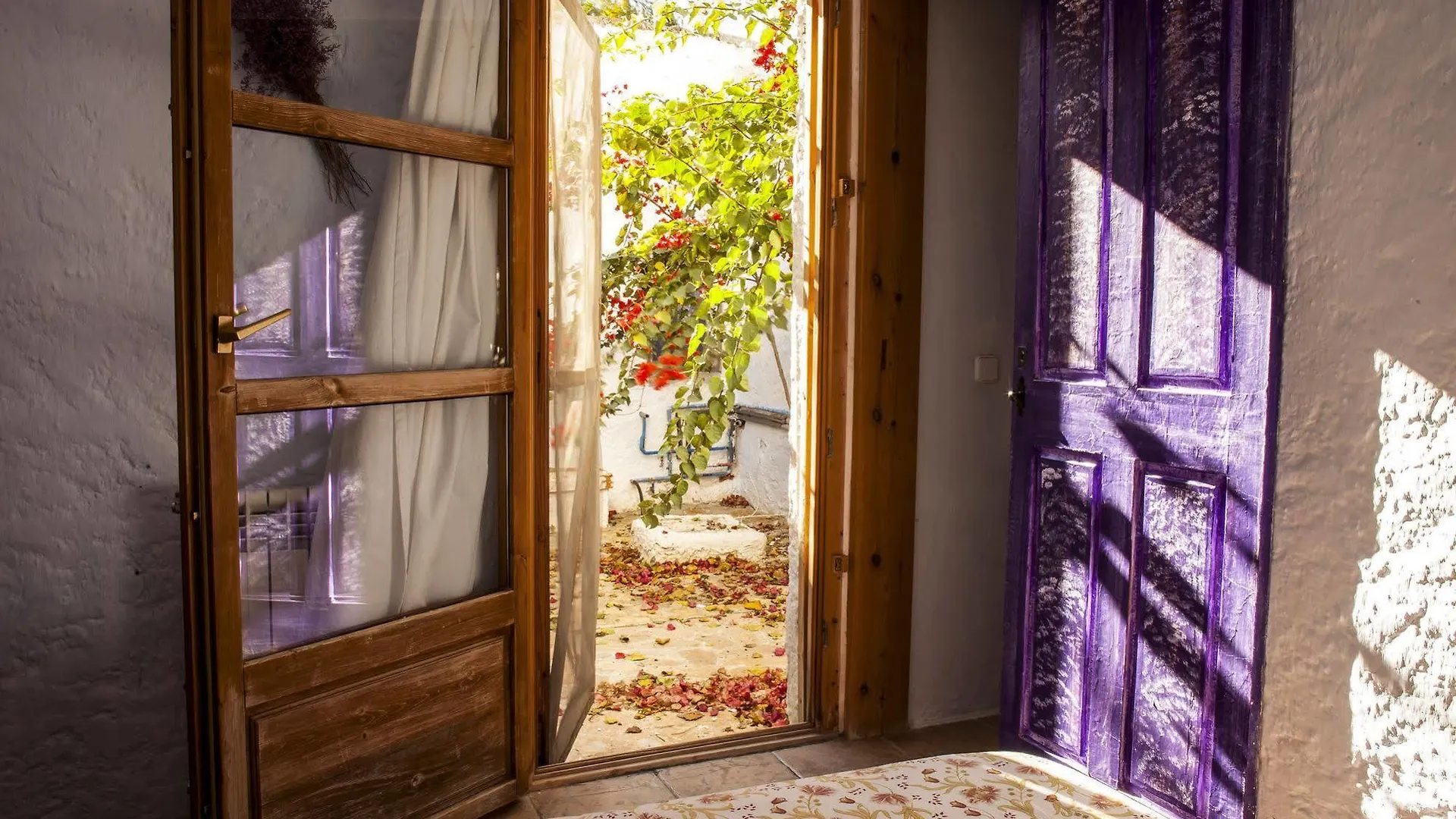 Casa Rural Aloe Vera Guest House Huercal-Overa 0*,